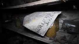 ‘I don’t think I was alone’: Woman experiences paranormal activity inside abandoned home filled with DOLLS