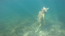 Mysterious Minotaur Sculpture found submerged in a lake in Patagonia Argentina