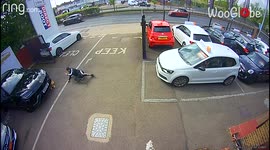 'Loving owner hurts his leg while saving dog from getting hit by a car '