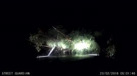 Close Call: Driver with limited vision almost drives into a fallen tree (Dashcam Video)