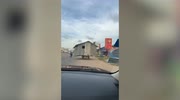 temp