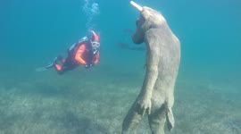Mysterious Minotaur Sculpture found submerged in a lake in Patagonia Argentina