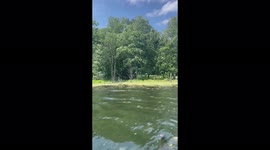 Hank the Tank living large