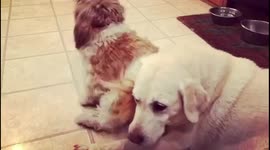 Party girl and the party pooper