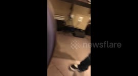 Baby Smiles at Camera