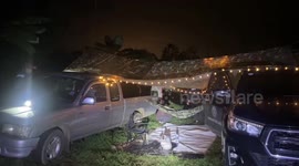 Wild elephant electrocuted on orchard's electric wire fence