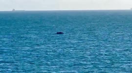 TINY dingy packed full of up to 20 suspected migrants was spotted bobbing around in a busy shipping lane in the English Channel