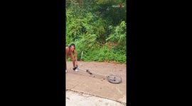 'Circus duo shows off their IMPECCABLE balancing skills with a ladder, unicycle & juggling pins 

'