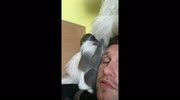 temp