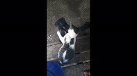 He cried!? I think so 