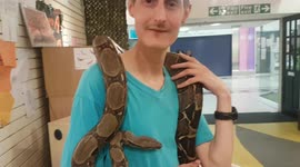 I hold a large Boa constrictor Snake and see what it is like for the first time