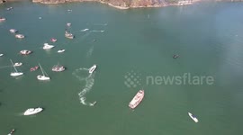 Maritime procession of São Pedro returns to be held in Vitória after 2 years