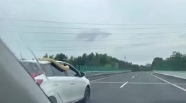 Huge python spotted laying on car speeding along highway in China