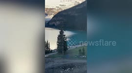 Shocked tourists watch from hotel room window as grizzly bear approaches their friends in Canada