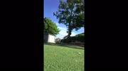 temp
