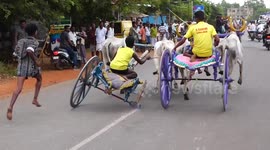 Fire Sparkles were emitted as bullock carts  competed with each other in a race in South India