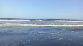 The ocean is a huge body of saltwater that covers about 71 percent of Earth's surface. The planet has one global ocean, though oceanographers and the countries of the world have traditionally divided it into four distinct regions: the Pacific, Atlantic, I