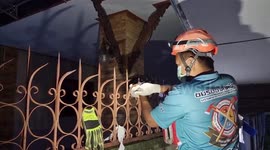 Stray kitten impaled on fence spikes saved by animal rescuers in Thailand