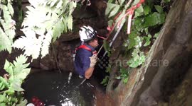 Neighbor's cat who fell into a 42ft-deep well was rescued with a bloated stomach after trapped overnight