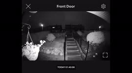 Yikes! Massive spider sets off doorbell cam alert in the middle of the night!