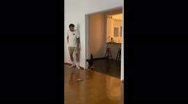 Scaredy-cat off: Man racks over 2 million views trying to prank his cat when it backfires quickly