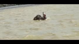 Astonishing moment elephant and mahout swim across a raging river in India