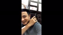 The intelligent bird sings at the man's command