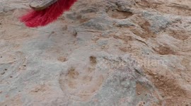 Thousands of dinosaur footprints discovered in northern China