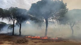 Wildfires spread through Algarve resort In Faro, Portugal