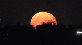 Plane Fly's Past The Buck Moon Supermoon
