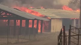 Fire rages nearby stables and brewery in northern California