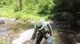 Endangered turtle found after more than seven months of observation