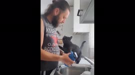 The cat requires affection while the owner is washing the dishes!