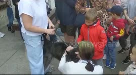 Residents of Kyiv line up to pick up animals from a shelter
