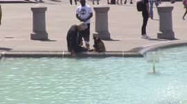 Londoners, tourists and DOGS cool off at Trafalgar Square fountains as UK braces for potential hottest day on record