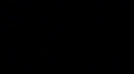 United airlines flight 116 disturbed passenger Daniel Perry 