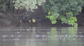 Tiszaviragzas Szegeden 2013 (Mayfly on Tisza River - Szeged, Hungary)