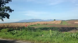 On the road with team Miyamoto