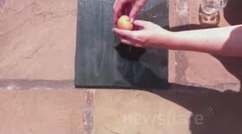 HOT day! Frying an egg on a granite slate