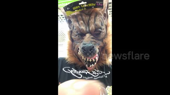 dog muzzle asda