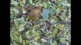 Fitch & McAndrew 31st October 2015