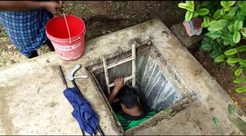 In a first, stranded cobra mom starves herself than feed on her babies in India