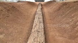 Petrified log unearthed in Thailand declared 'world's longest tree trunk fossil' by Guinness World Records