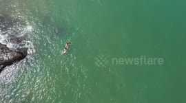 A kayak tour on the beach is a good opportunity to enjoy the sun.