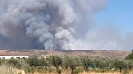 Wildfire rages in Guadalajara, Spain