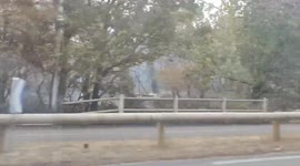 Earth left scorched after wildfires decimate forest in western France