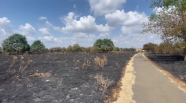 Grim scenes of scorched fields and burned-out buildings after fire rips through London suburb