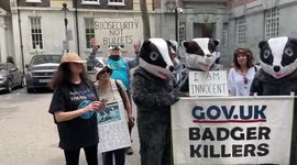 Badger cull protest outside DEFRA, London, UK