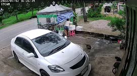 Speeding SUV overturns after clipping roadside stall in Thailand