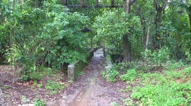 Police close area in Thai park after it was used as sex tape location by OnlyFans couple